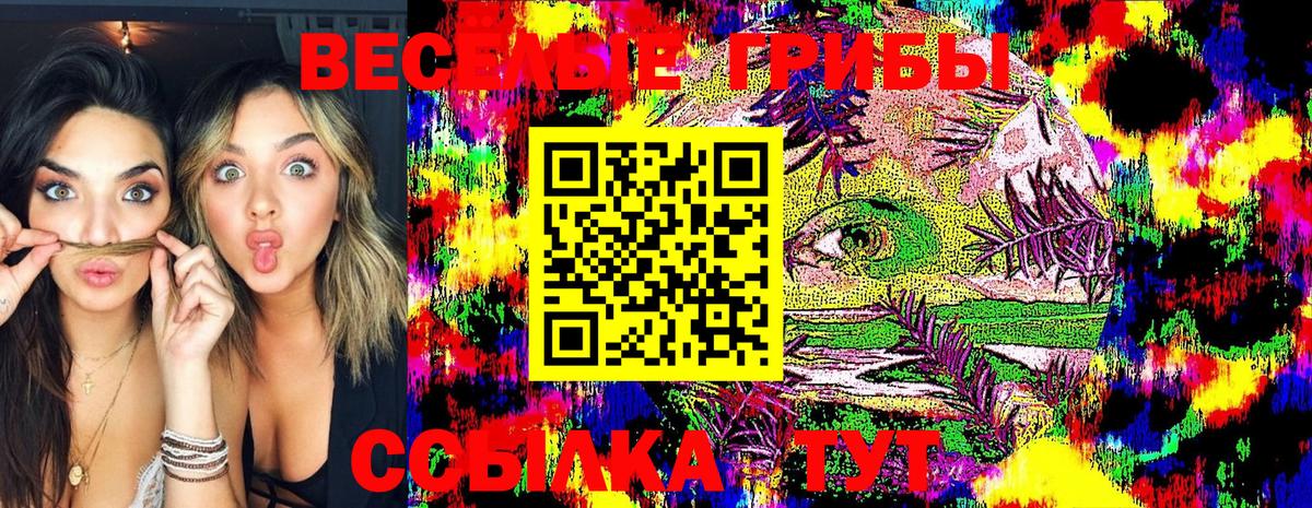 Галлюциногенные грибы GOLDEN TEACHER Каспийск